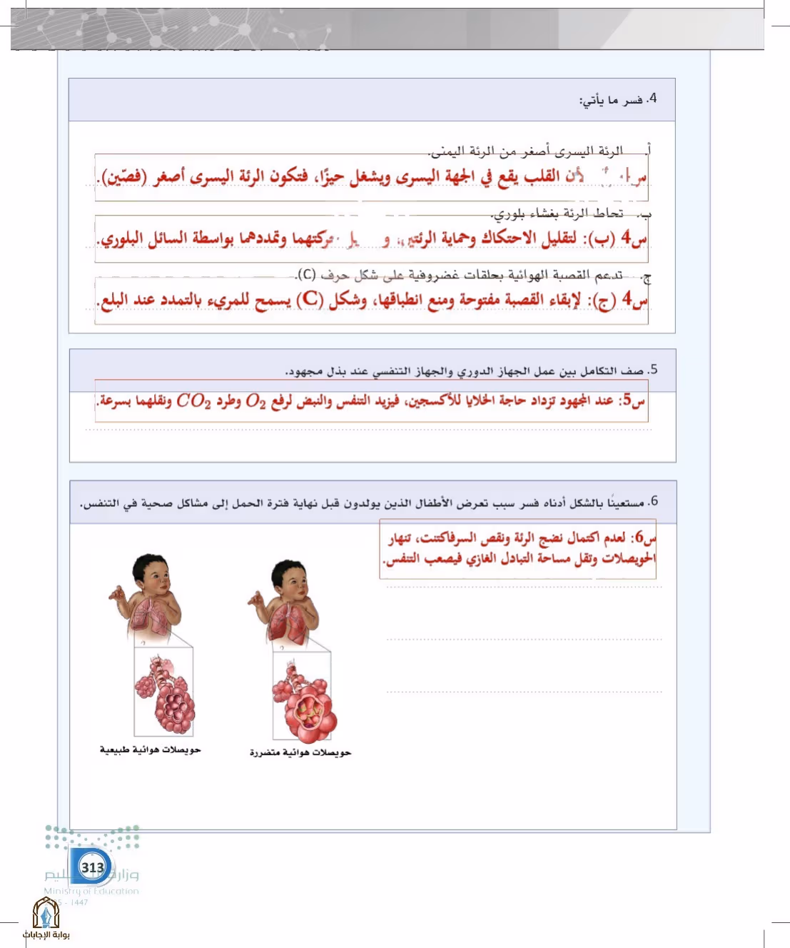 صفحة 313