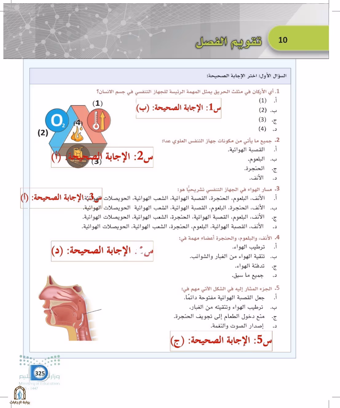 صفحة 325