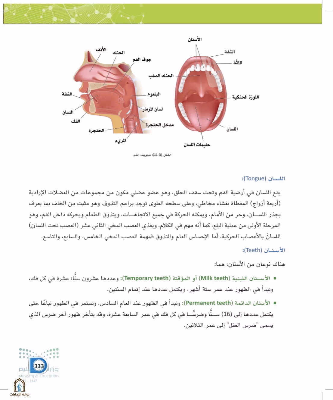 صفحة 333
