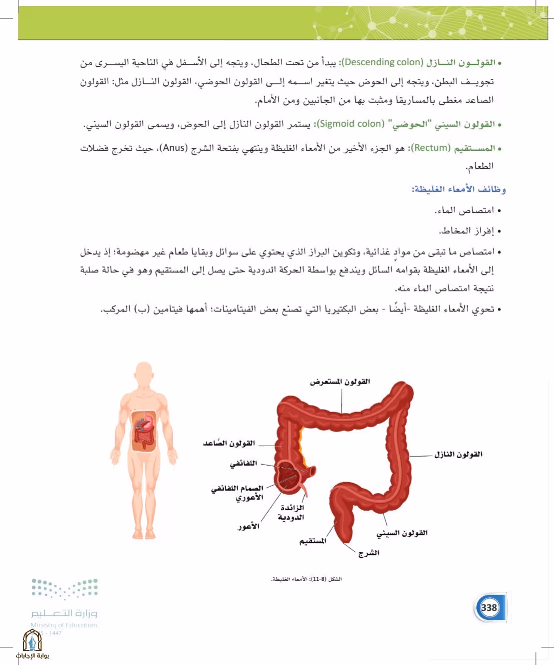 صفحة 338