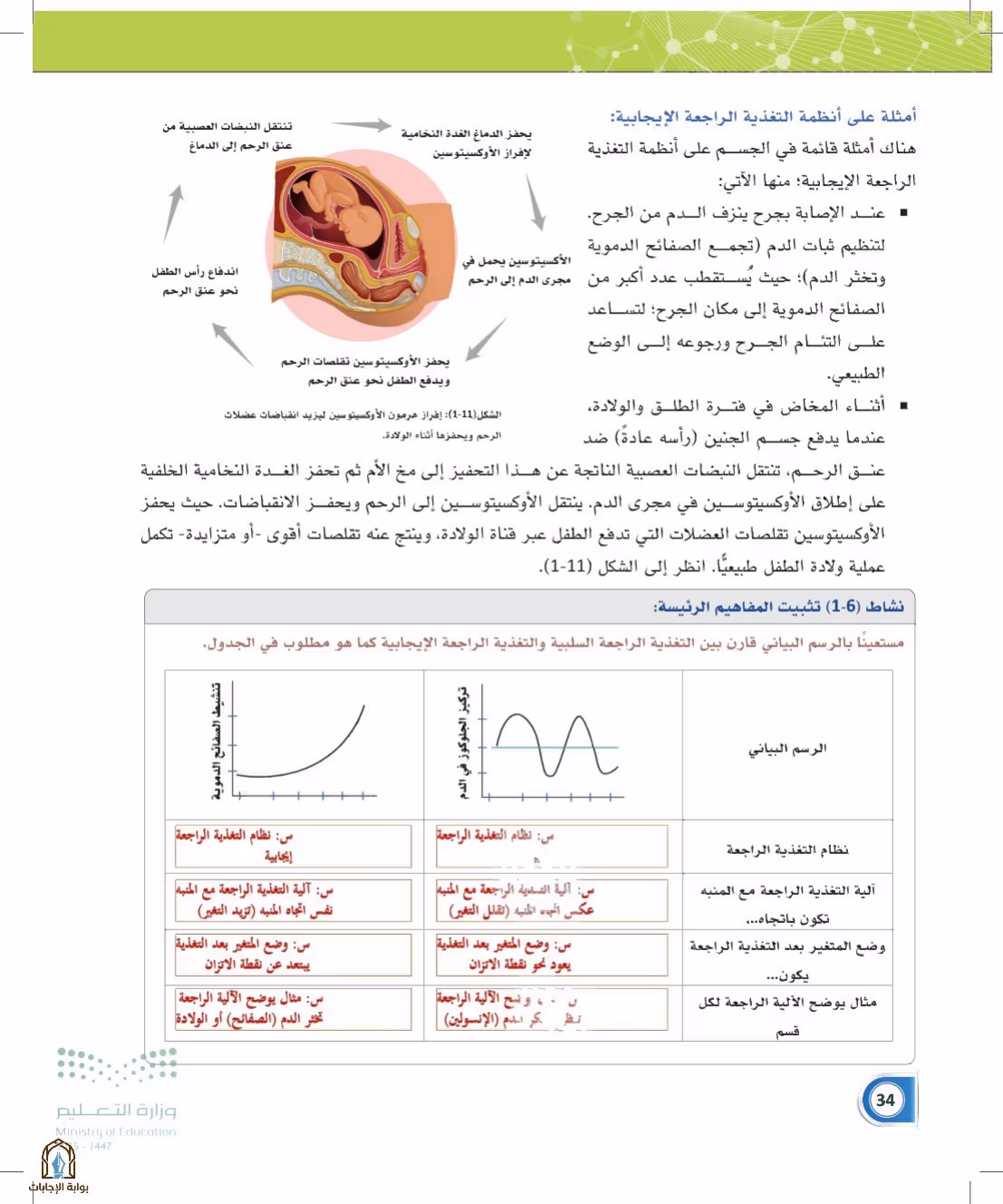 صفحة 34
