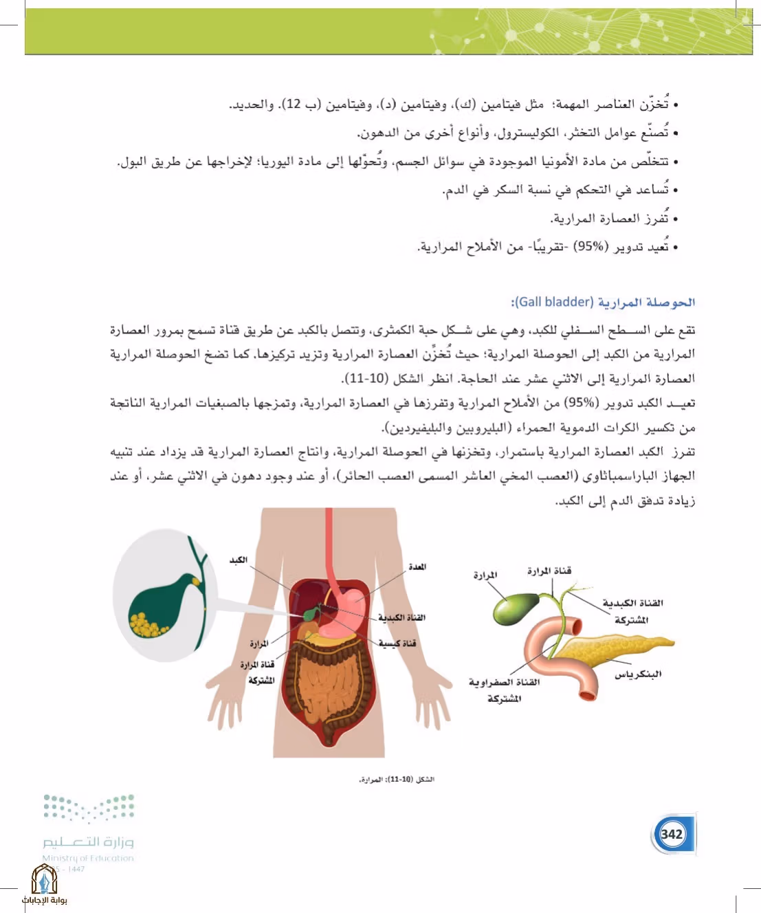 صفحة 342