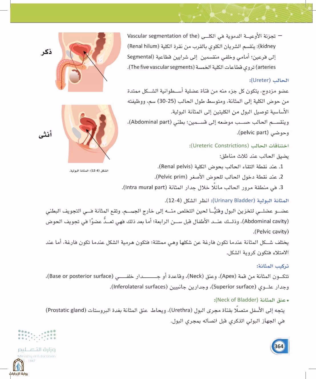صفحة 364