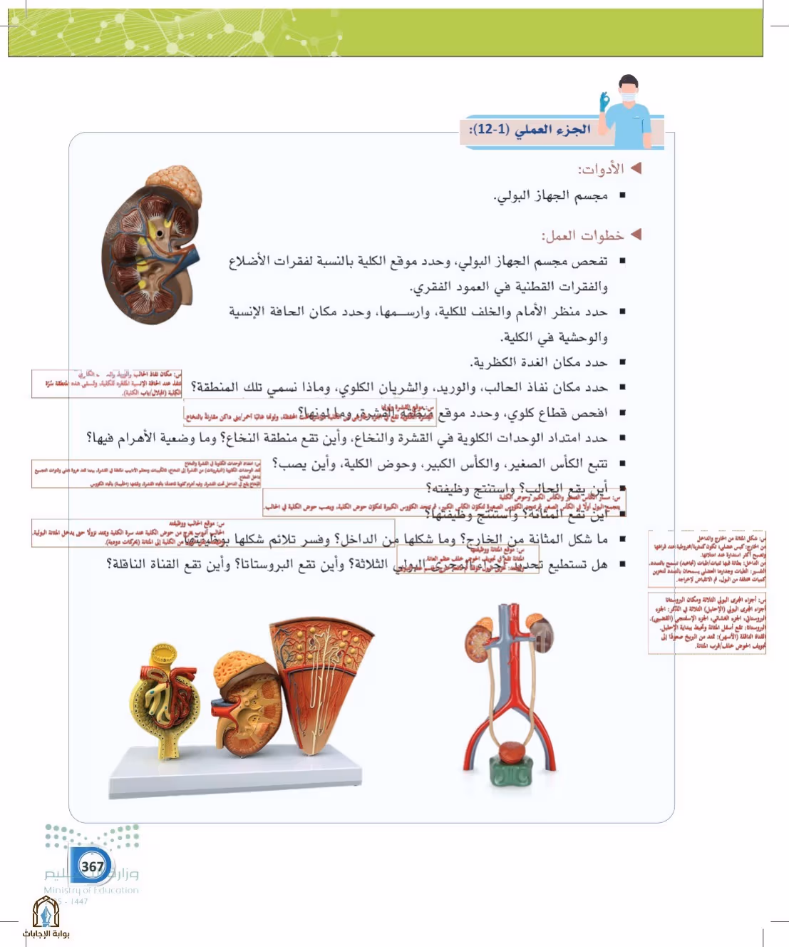 صفحة 367