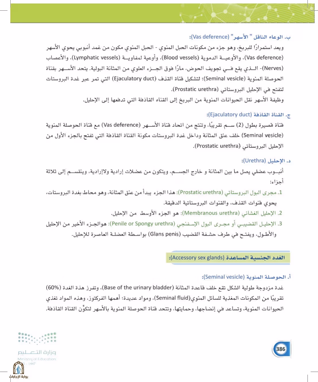 صفحة 386