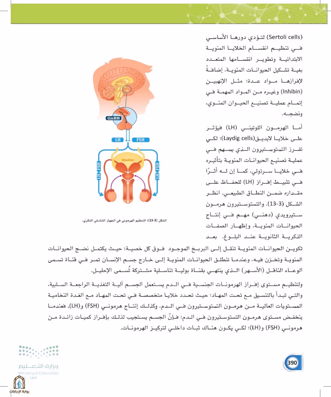 صفحة 390