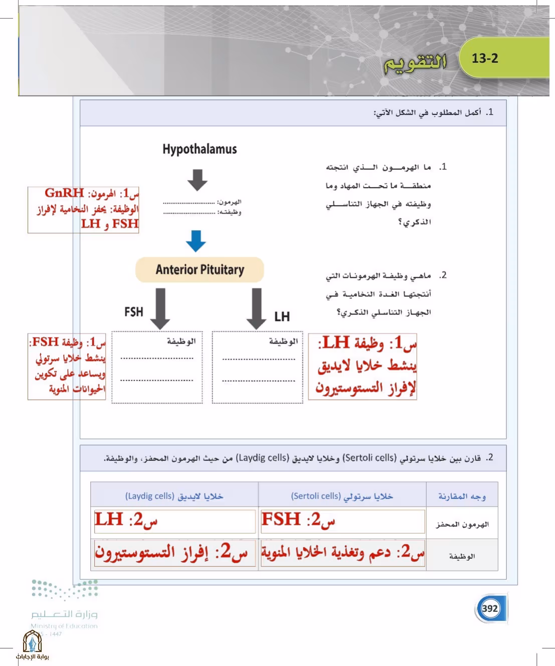 صفحة 392