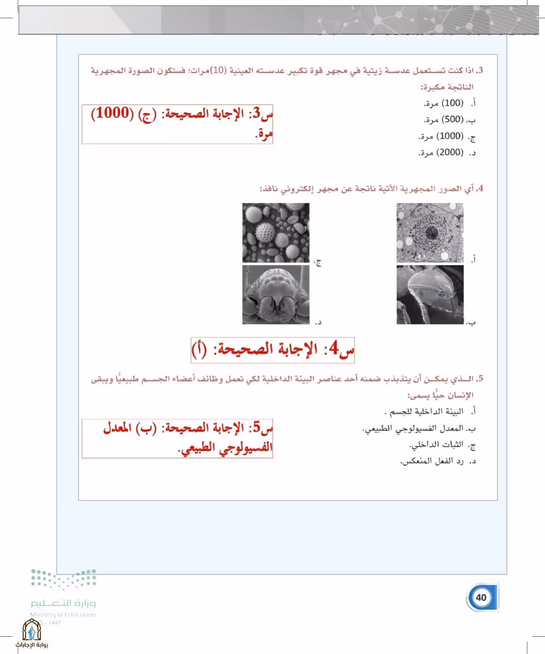 صفحة 40