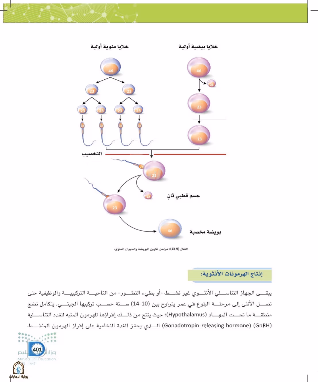 صفحة 401