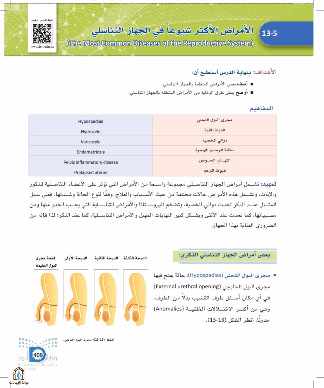 صفحة 409