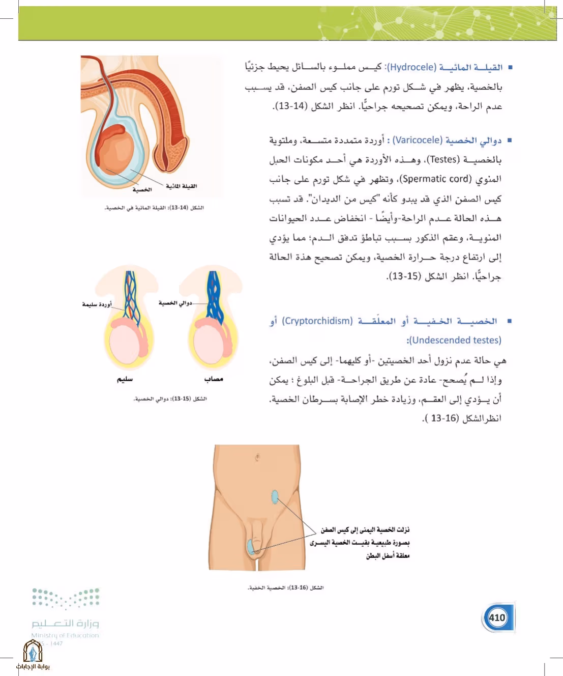 صفحة 410