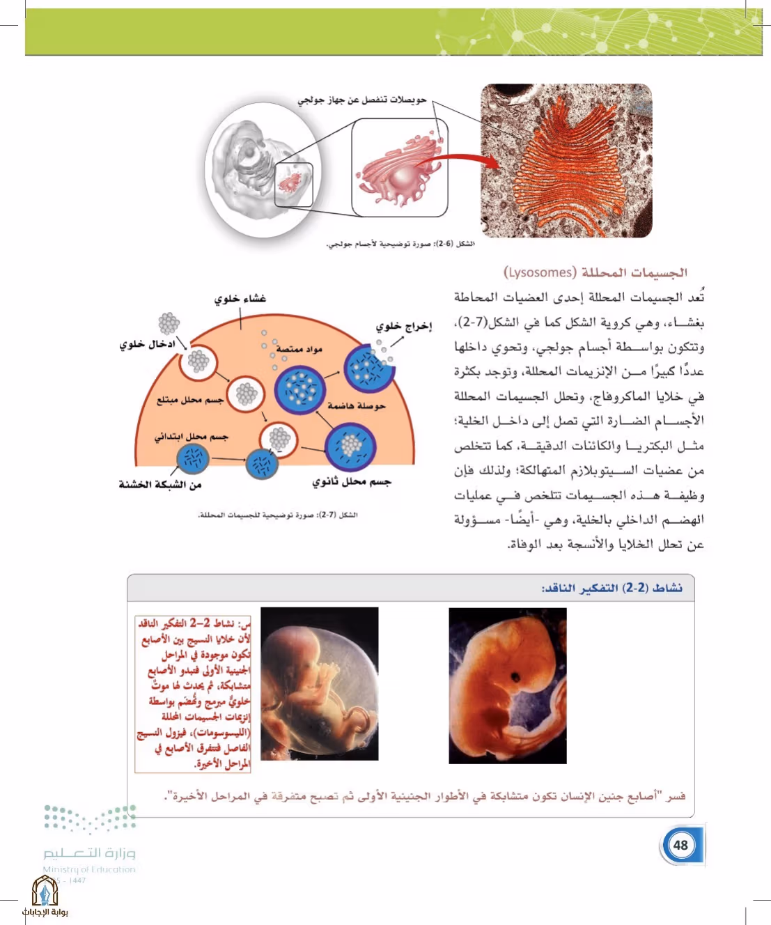 صفحة 48