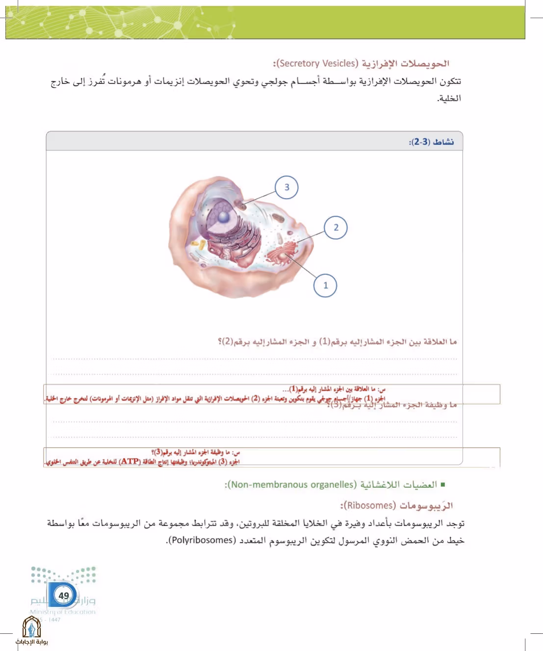 صفحة 49