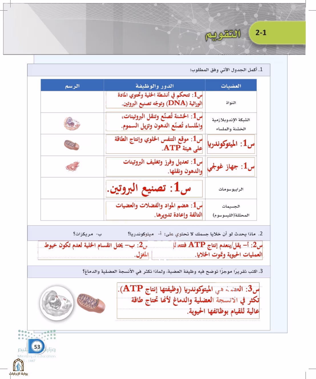 صفحة 53