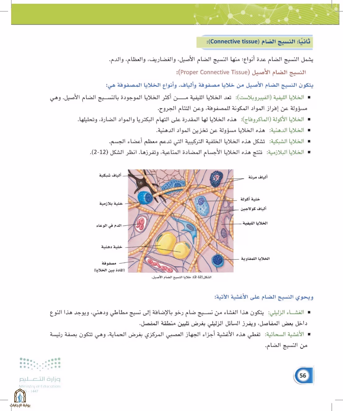 صفحة 56