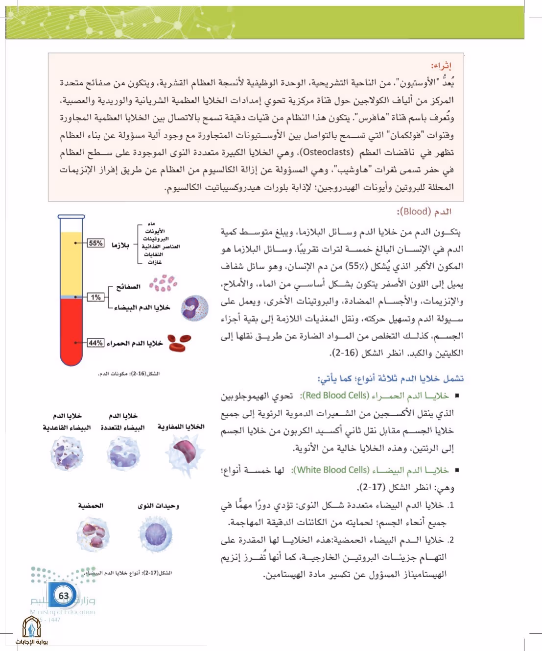 صفحة 63