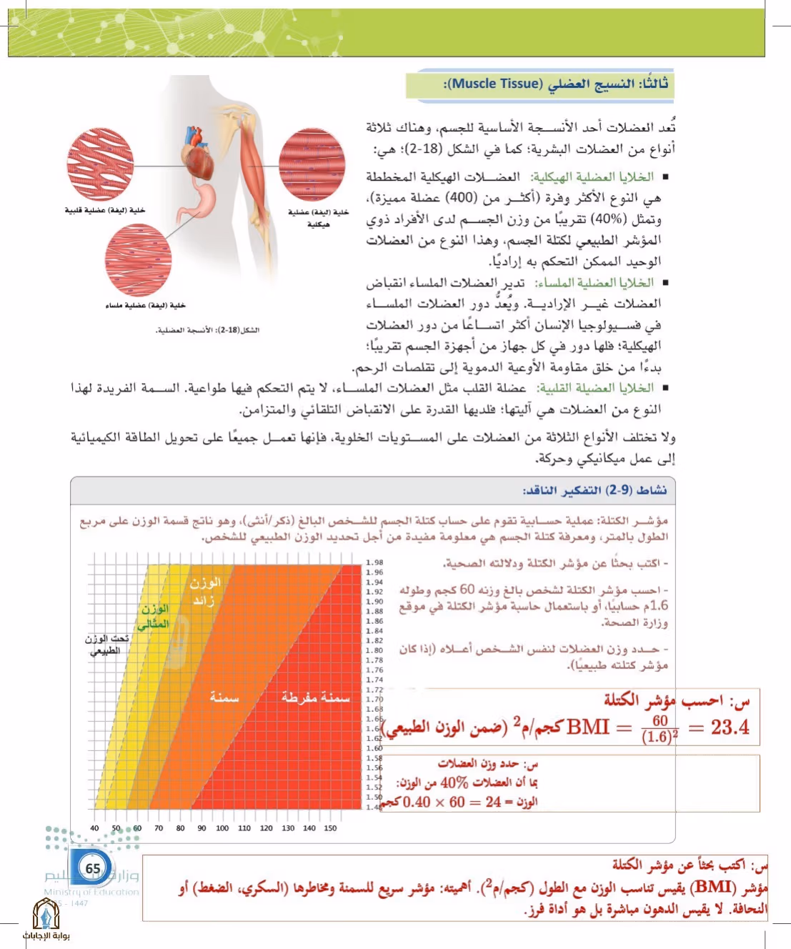 صفحة 65