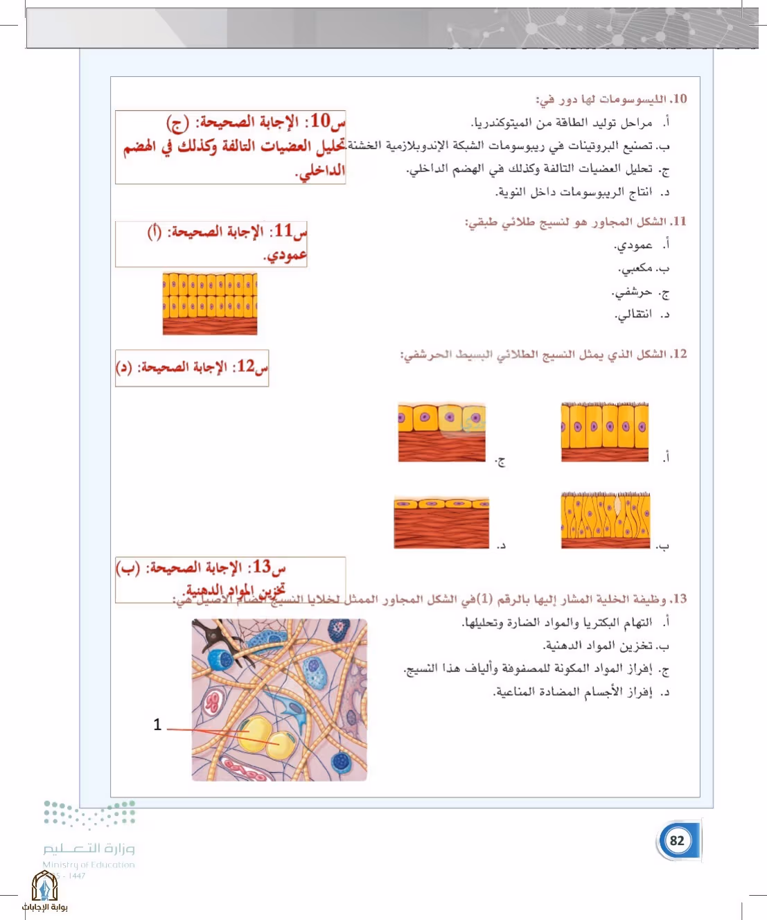صفحة 82