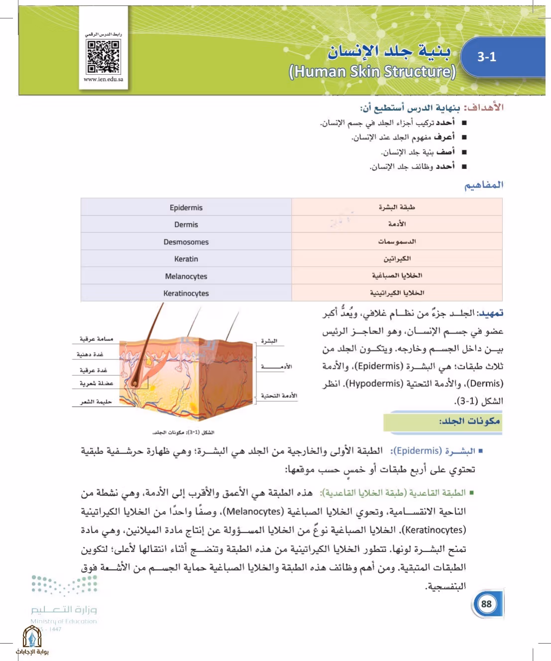 صفحة 88