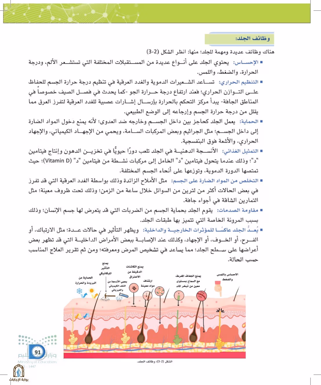 صفحة 91