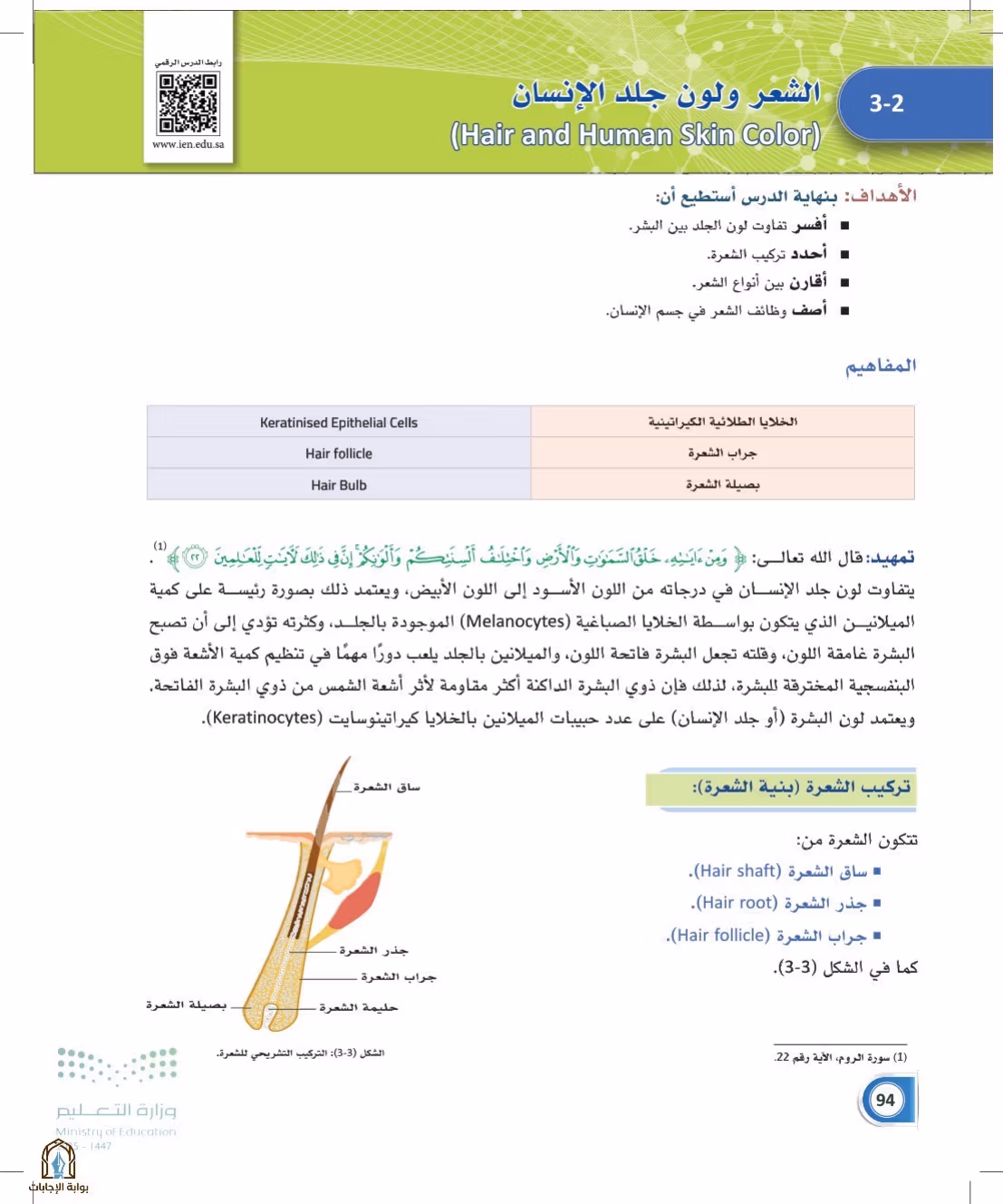 صفحة 94