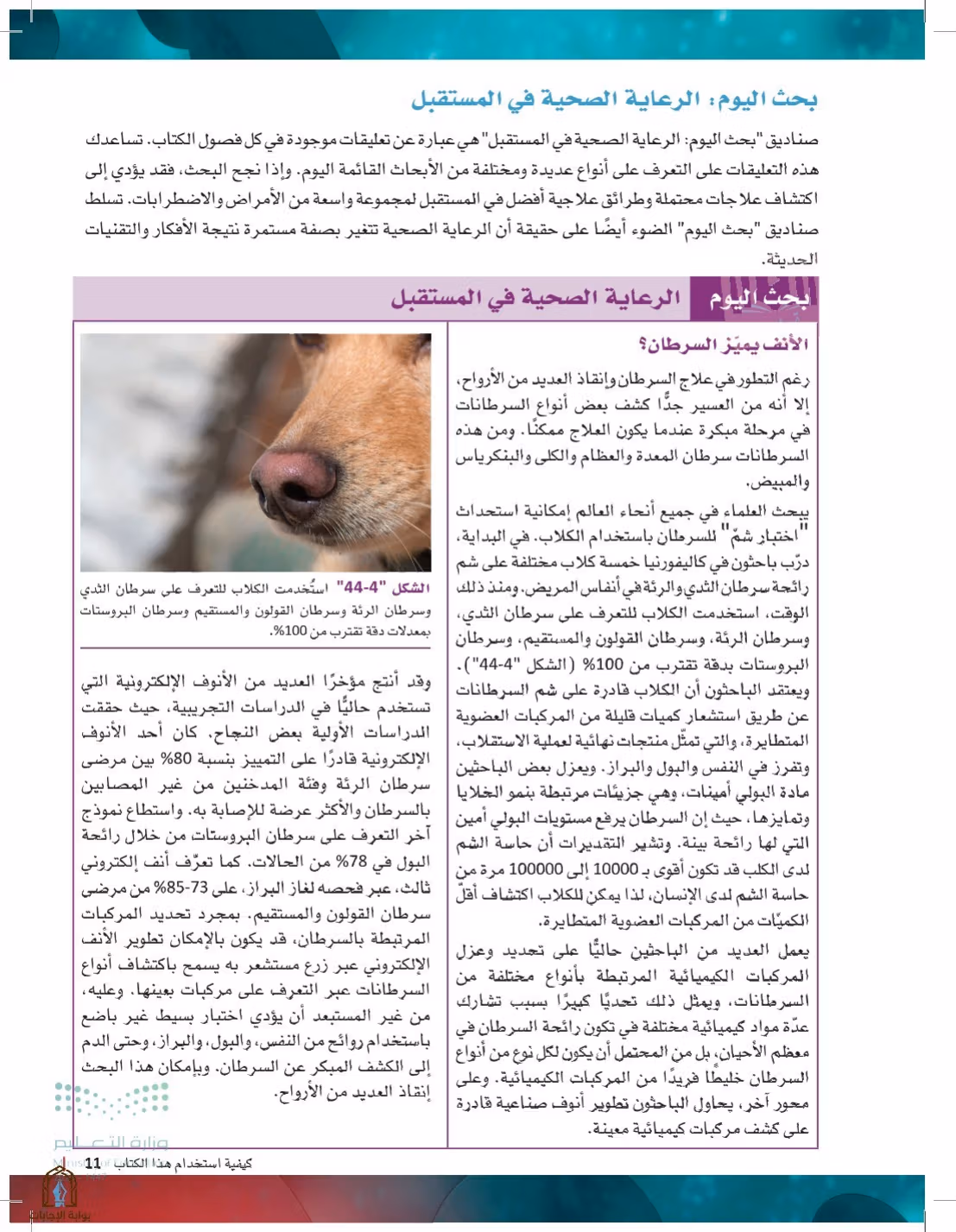صفحة 11