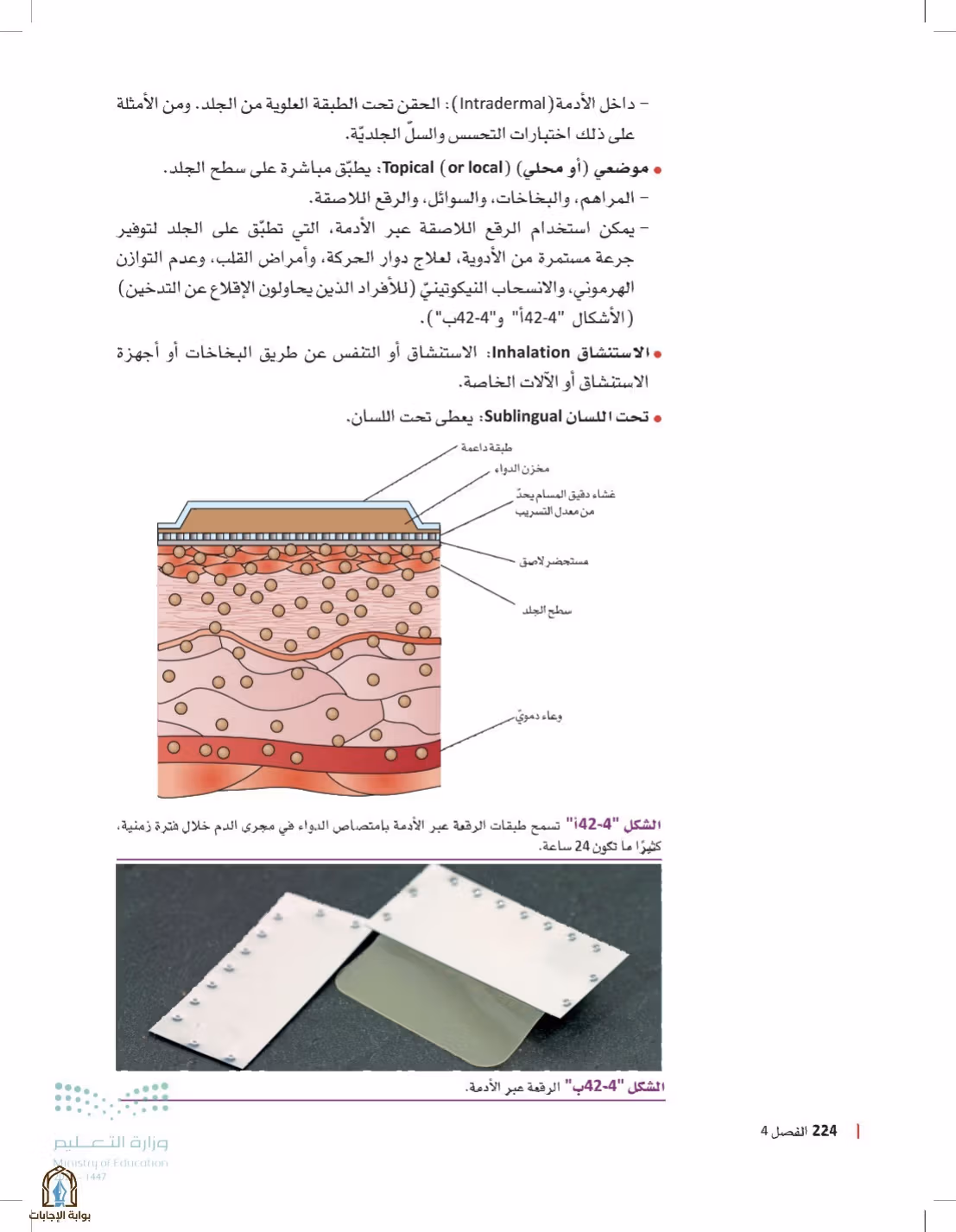 صفحة 224