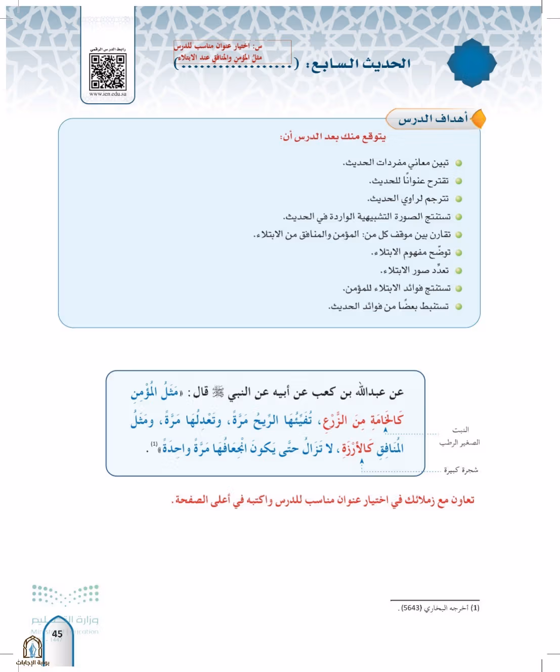 صفحة 45