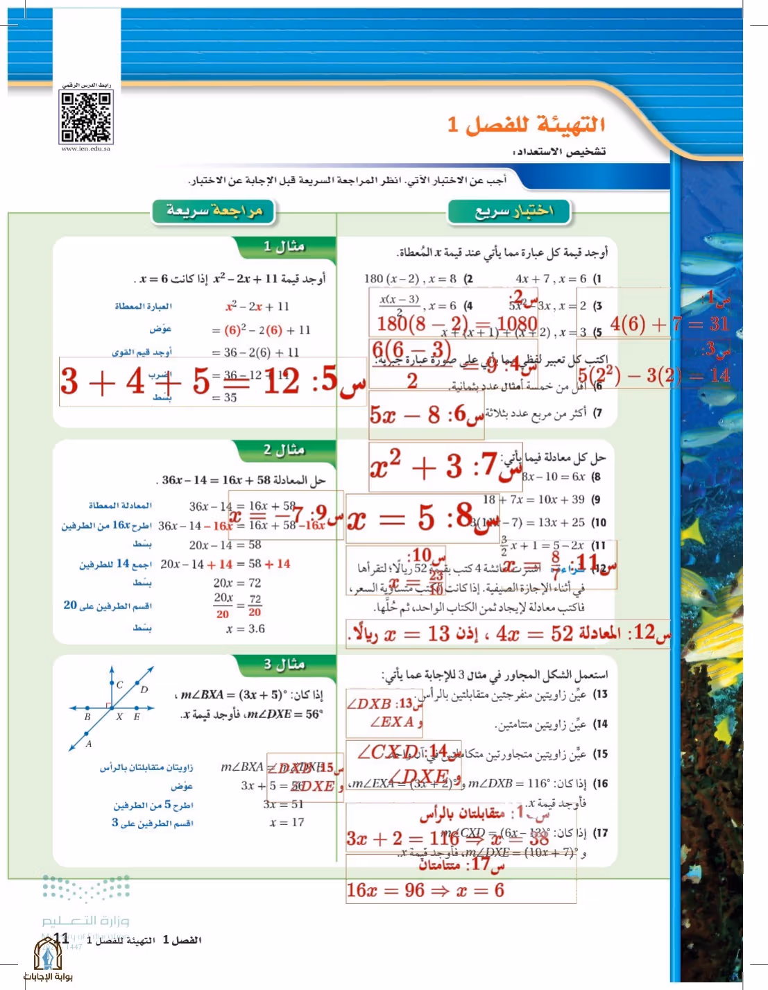 صفحة 11