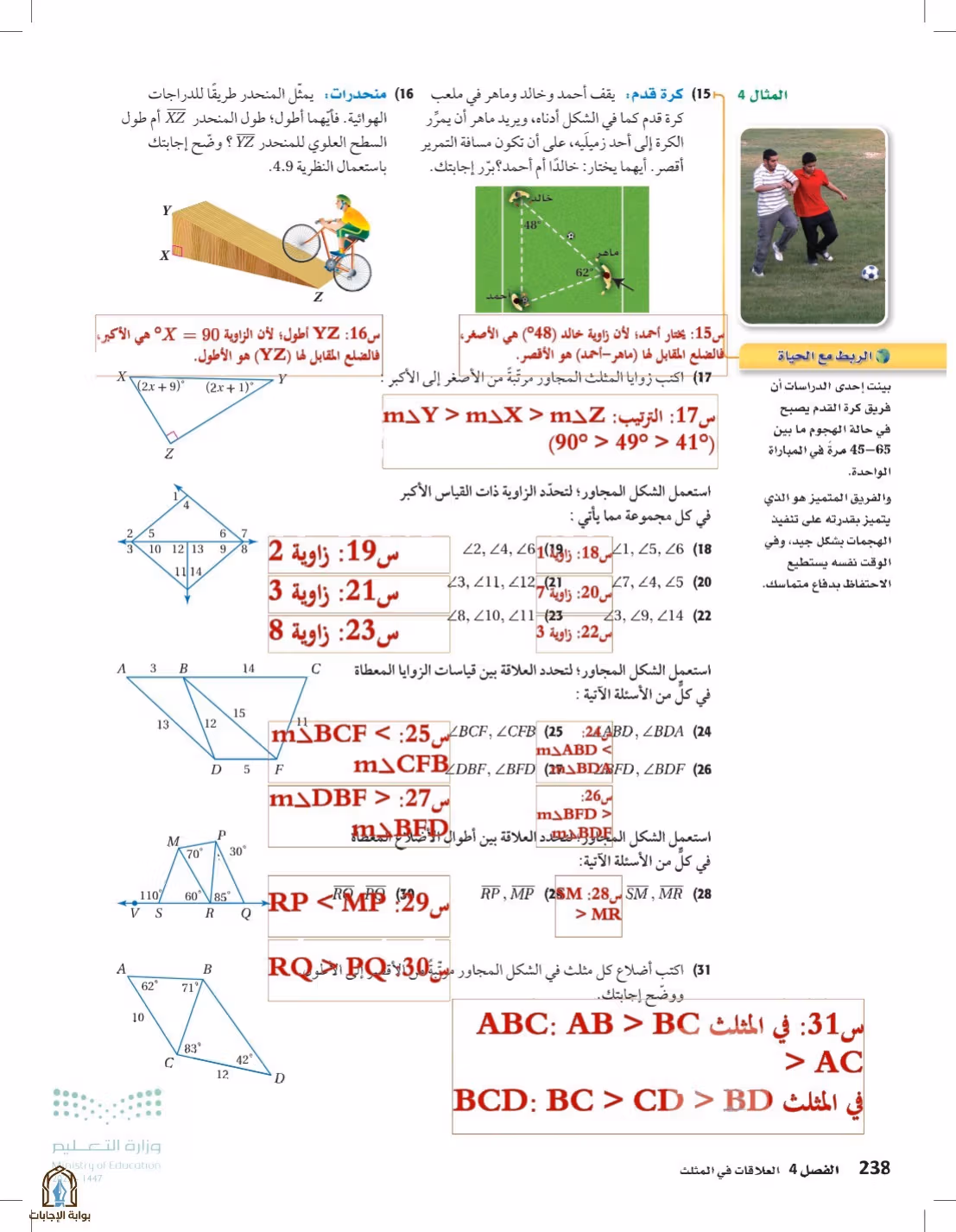 صفحة 238