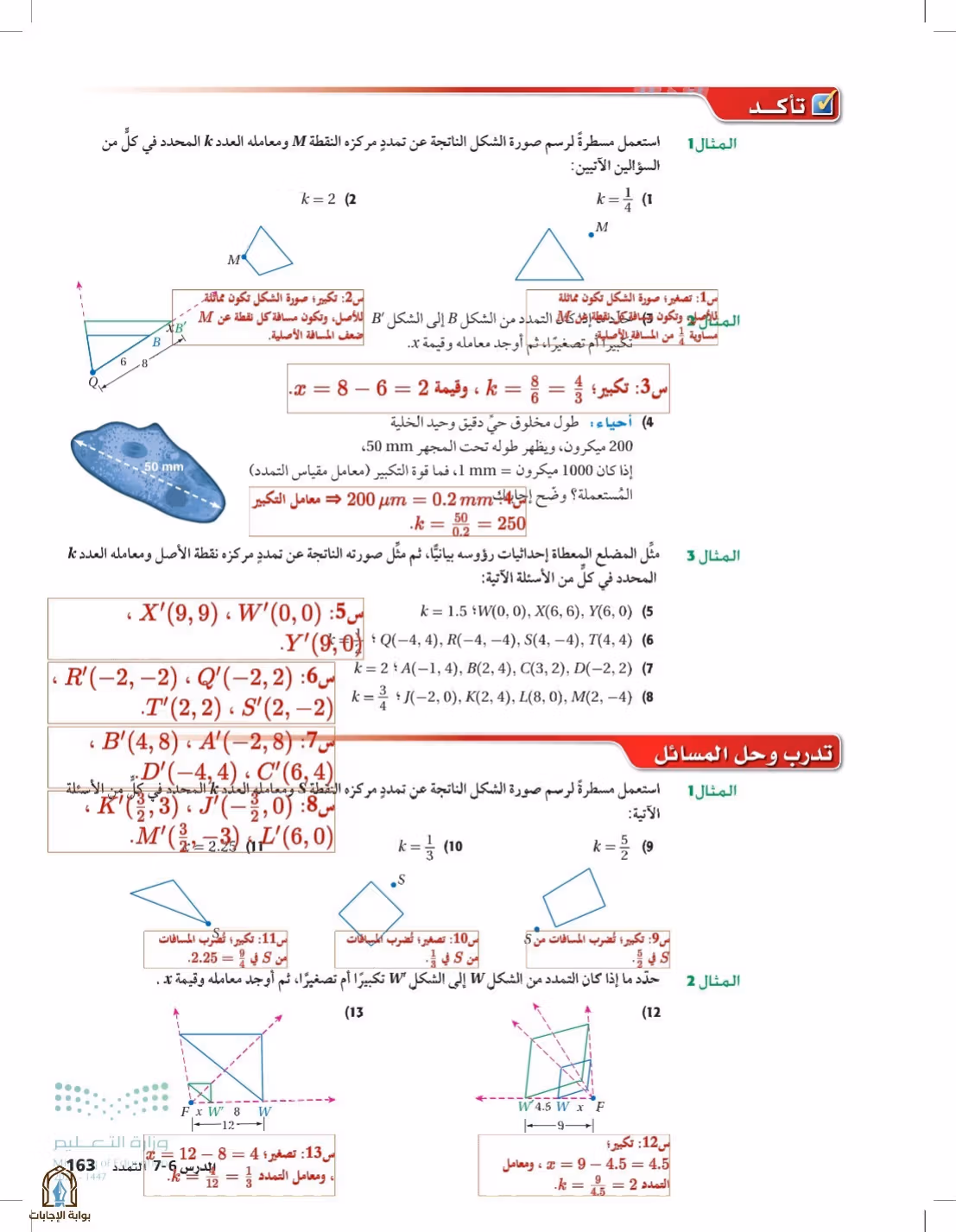 صفحة 163