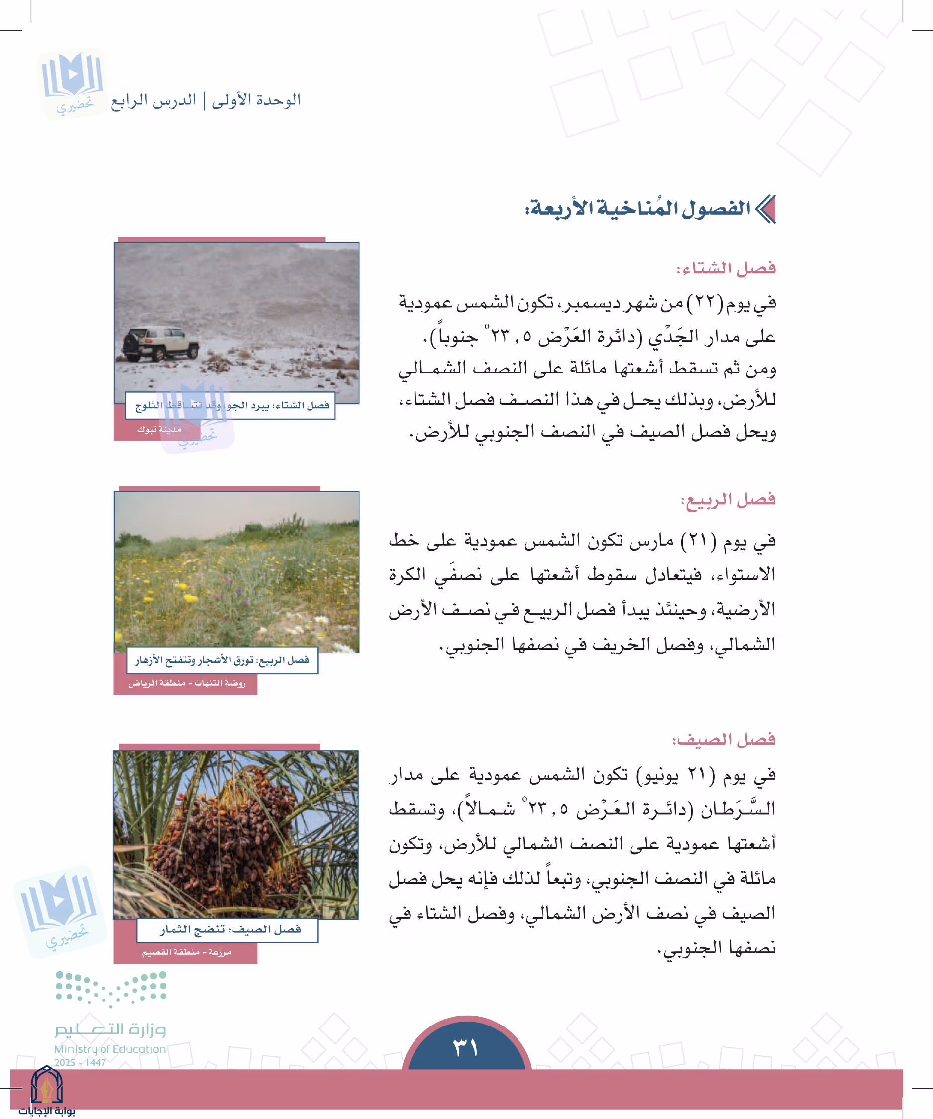 صفحة 31