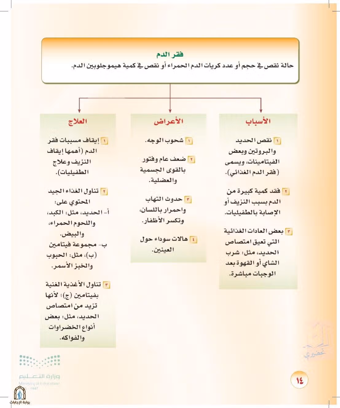 صفحة 14
