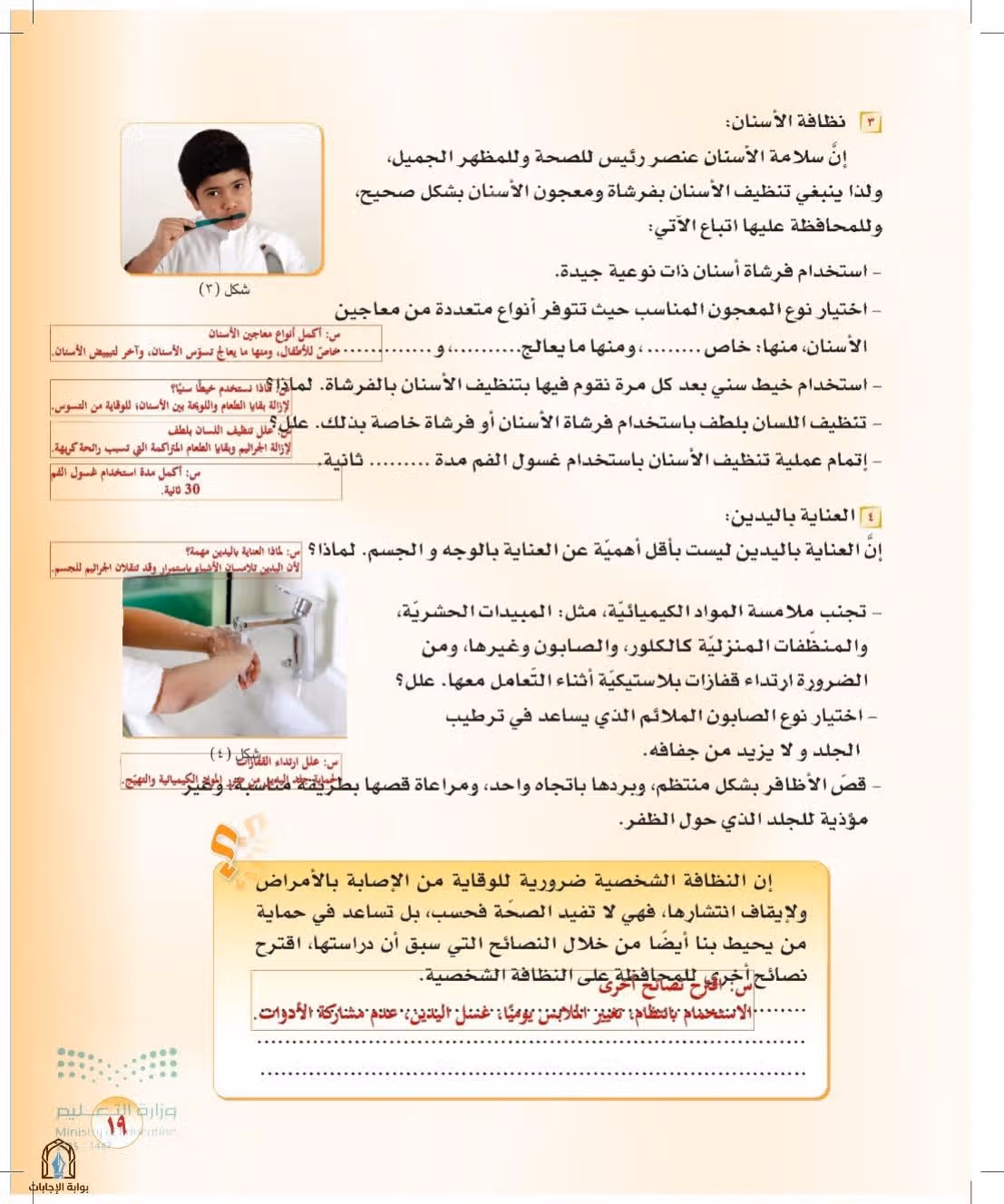 صفحة 19