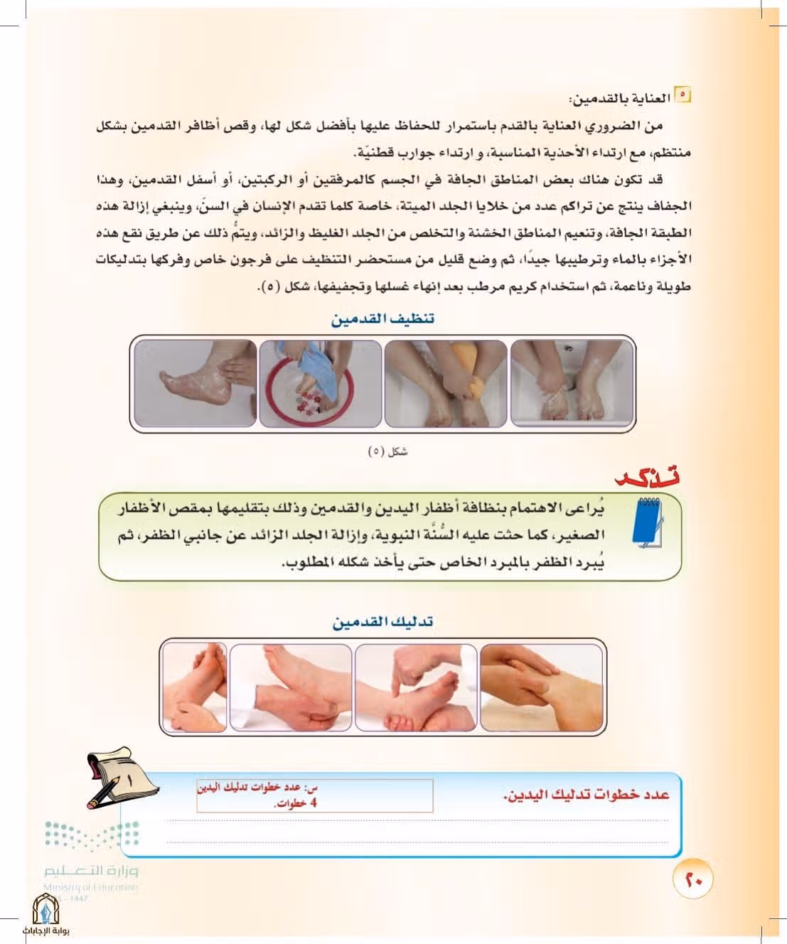 صفحة 20