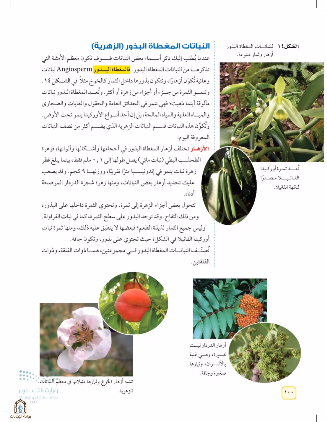 صفحة 100
