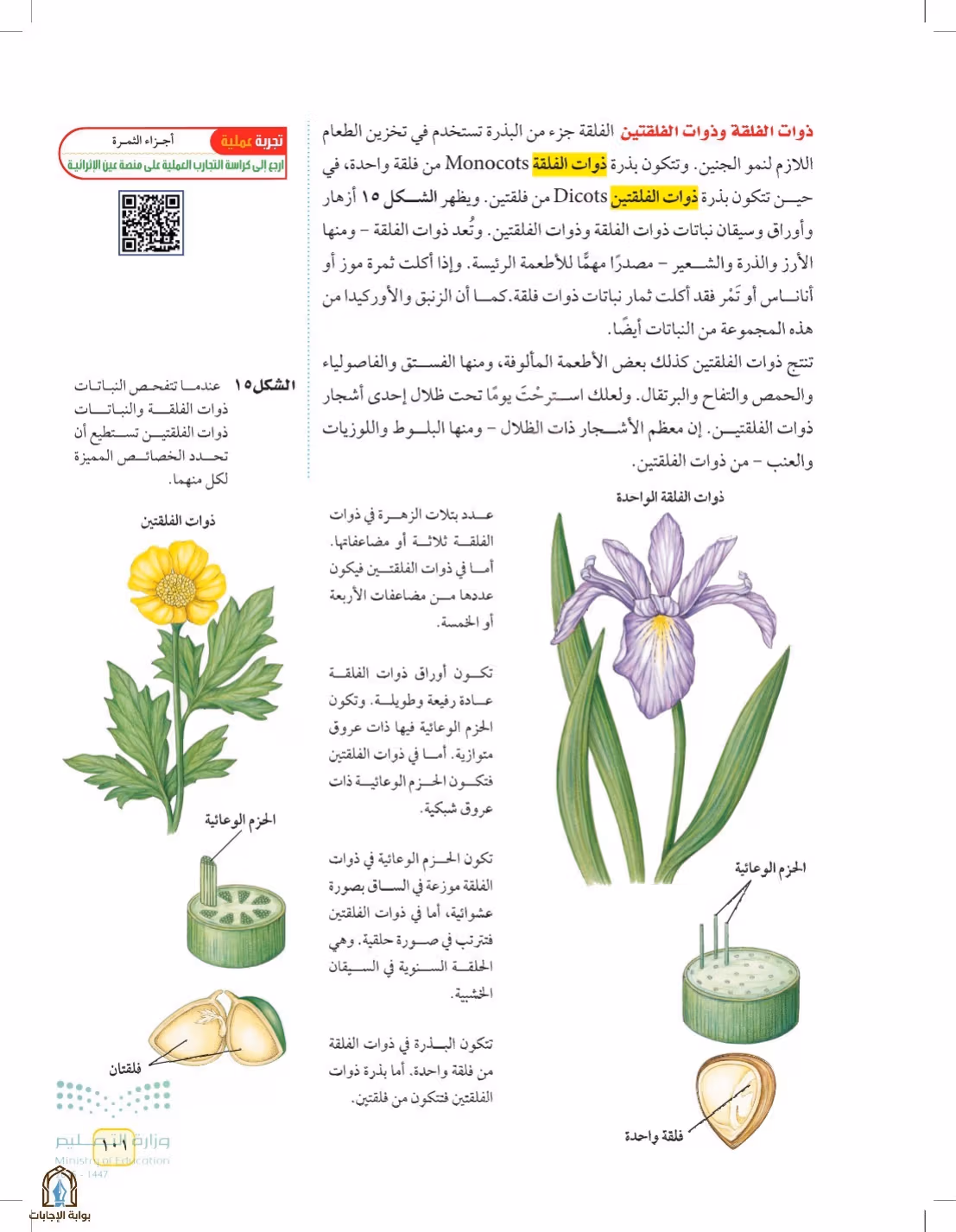 صفحة 101