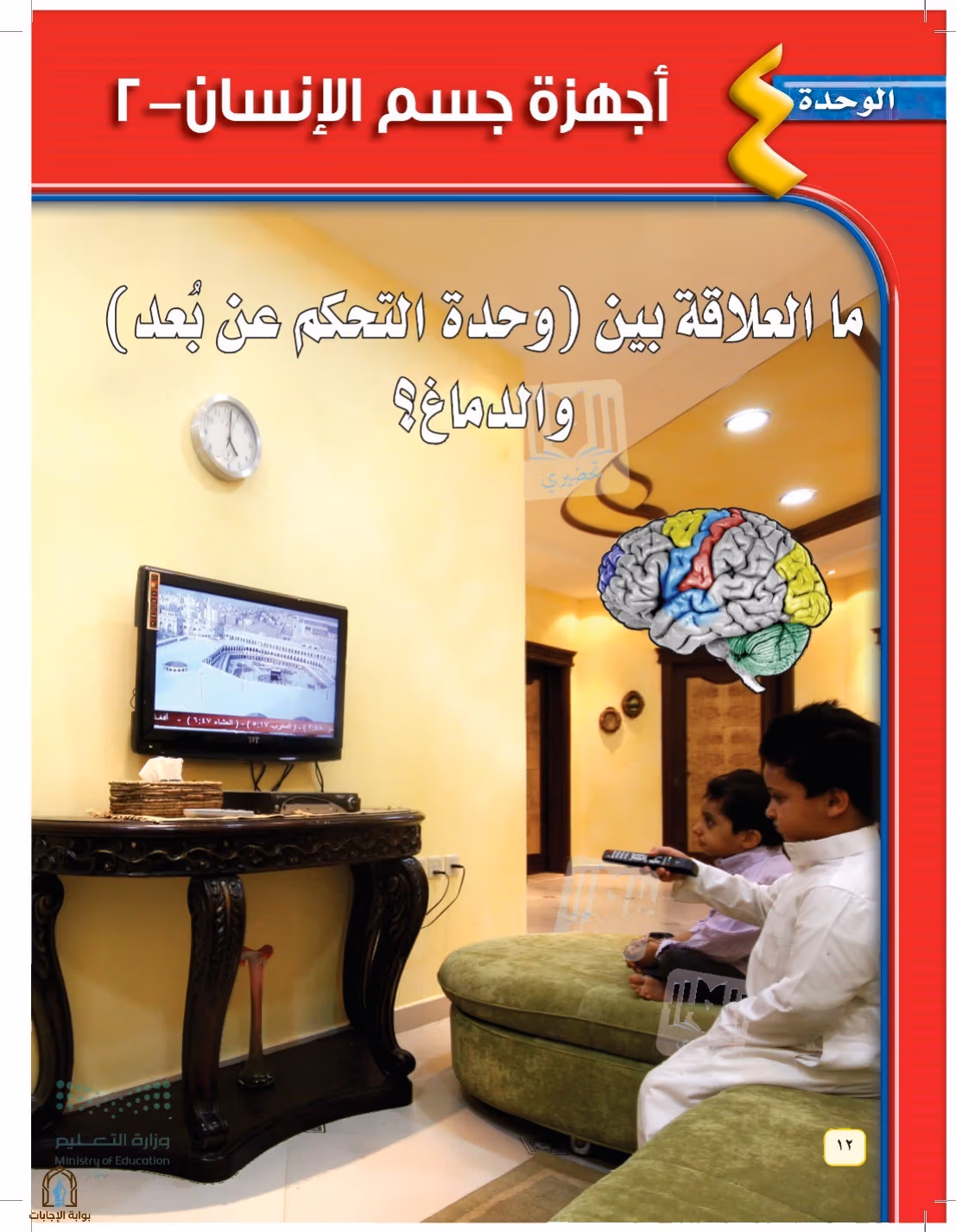 صفحة 12