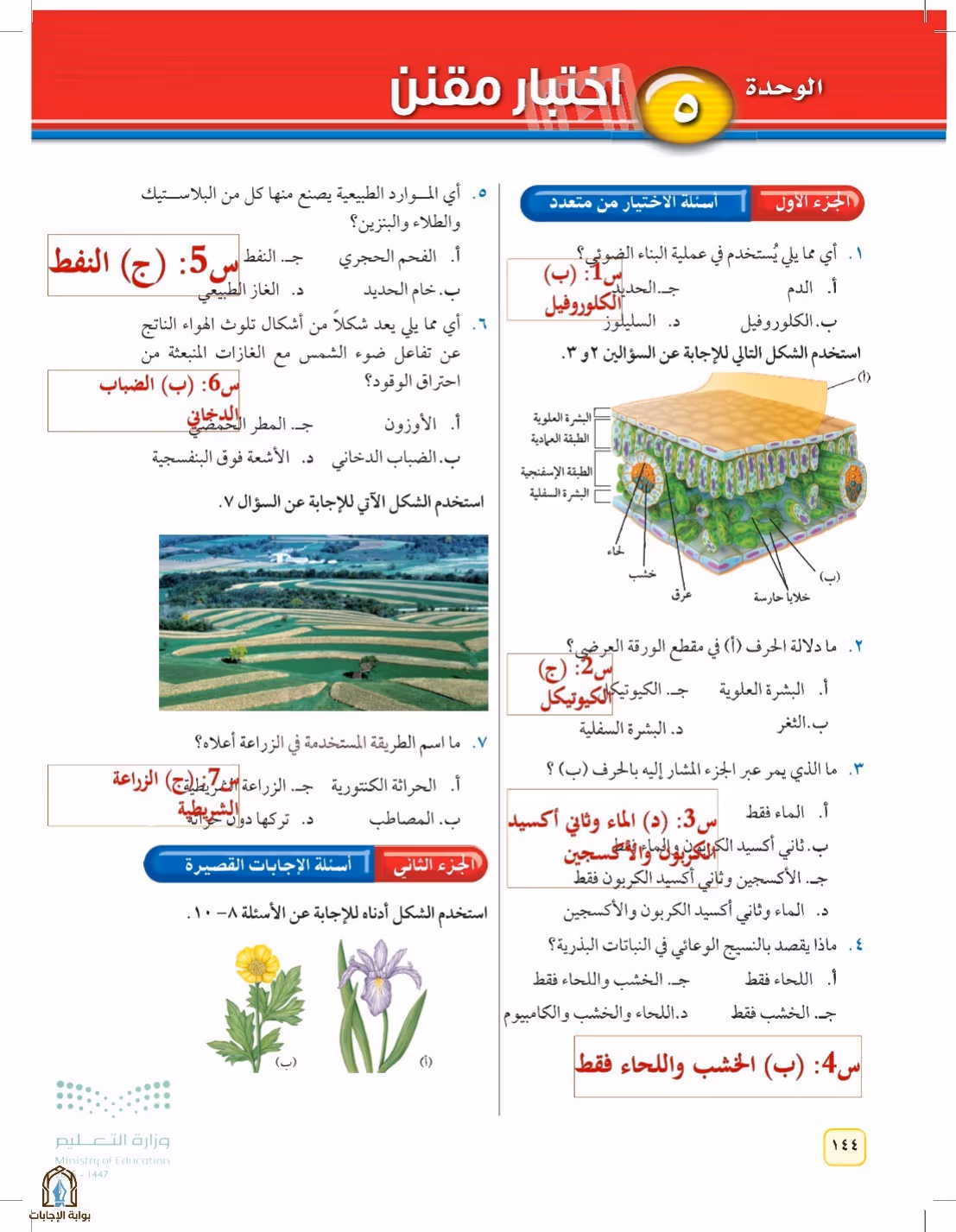 صفحة 144