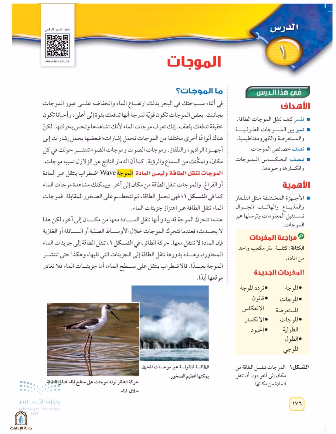 صفحة 176