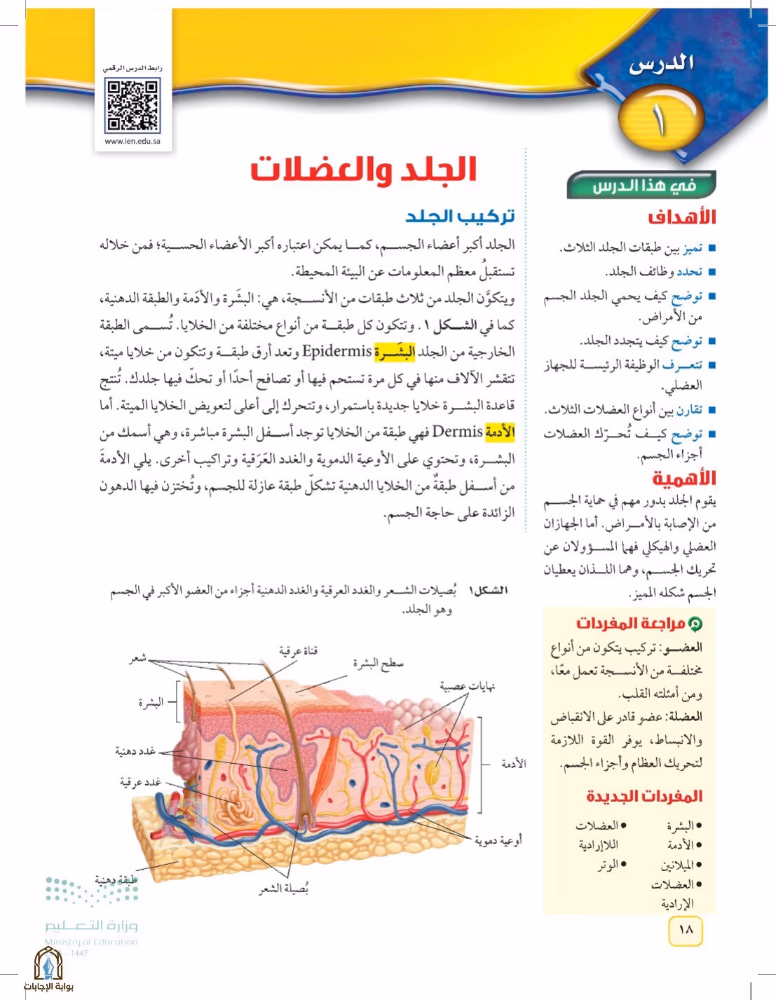 صفحة 18