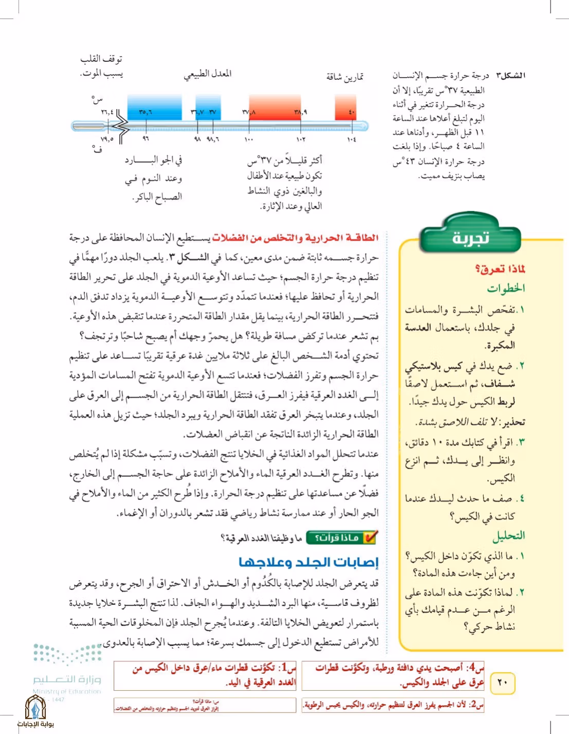 صفحة 20