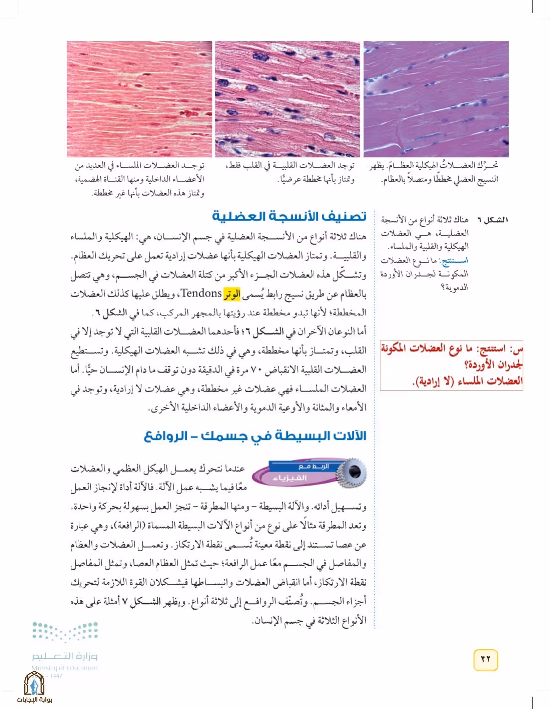 صفحة 22