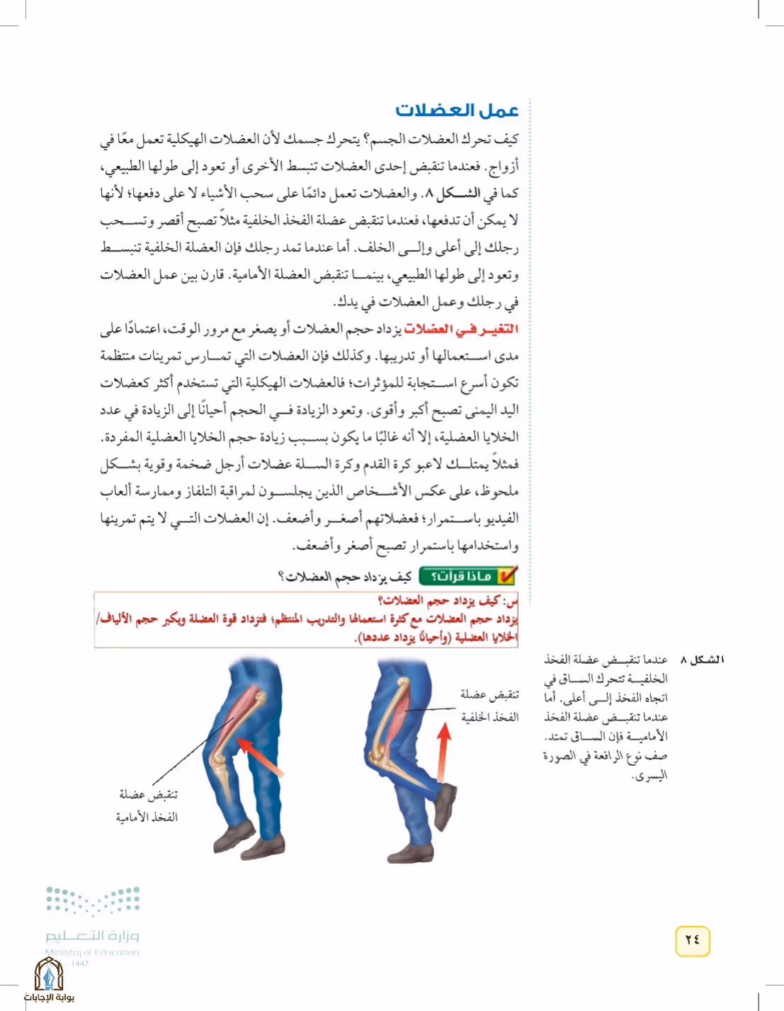 صفحة 24