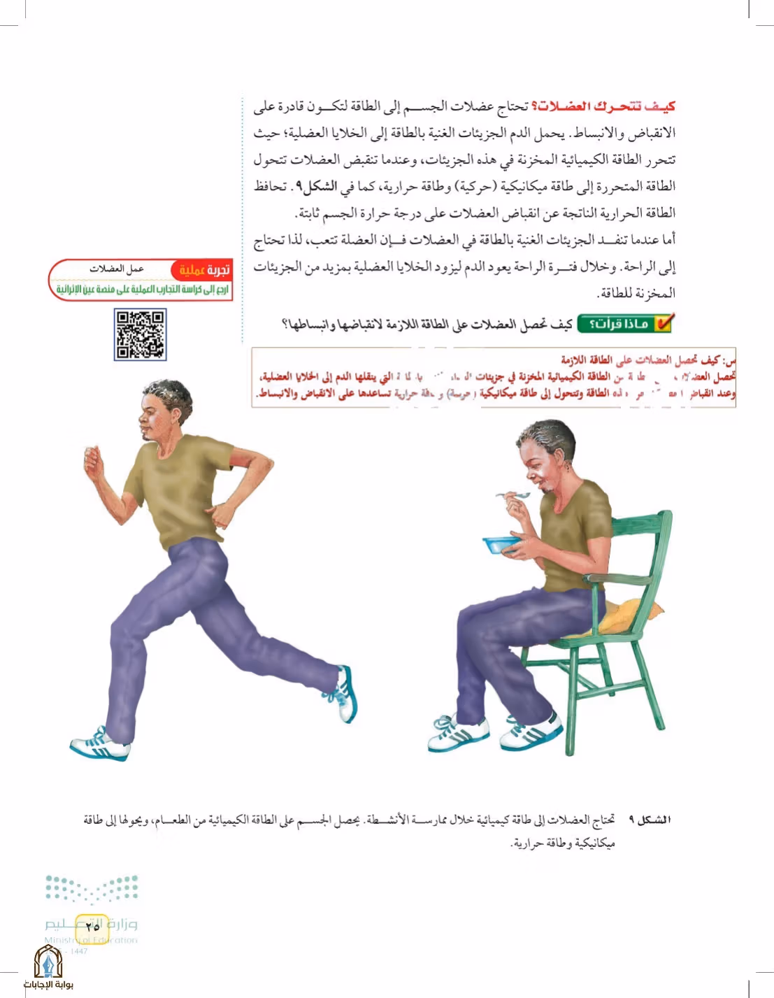 صفحة 25