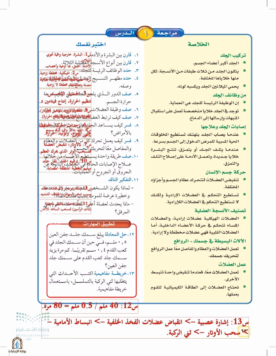 صفحة 26