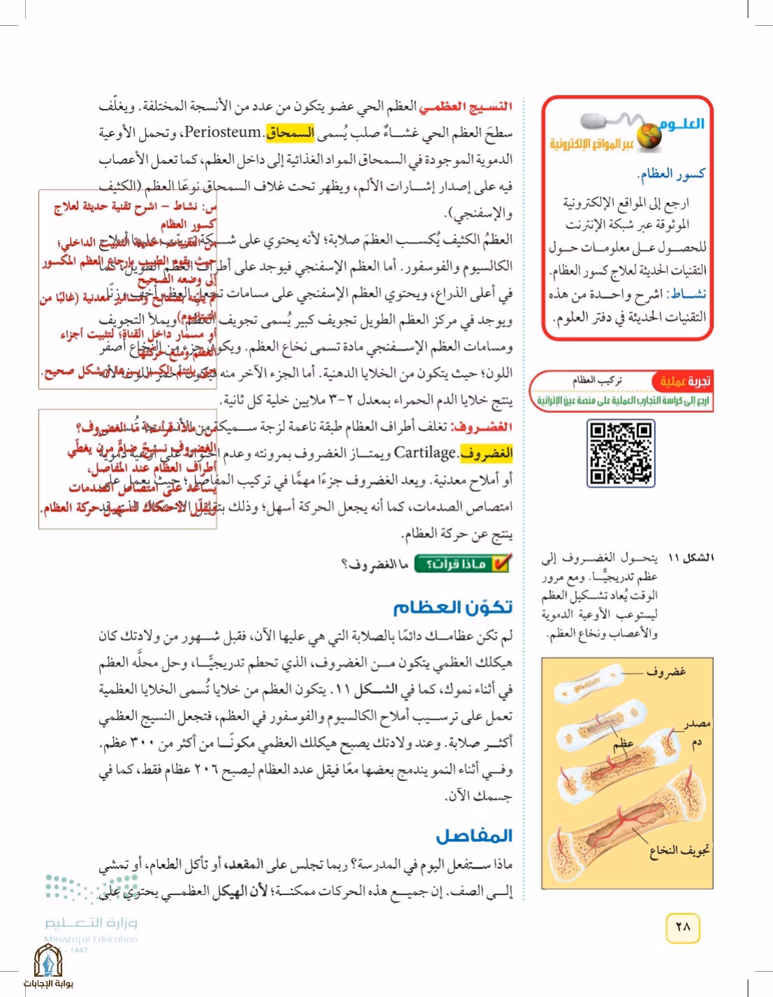 صفحة 28