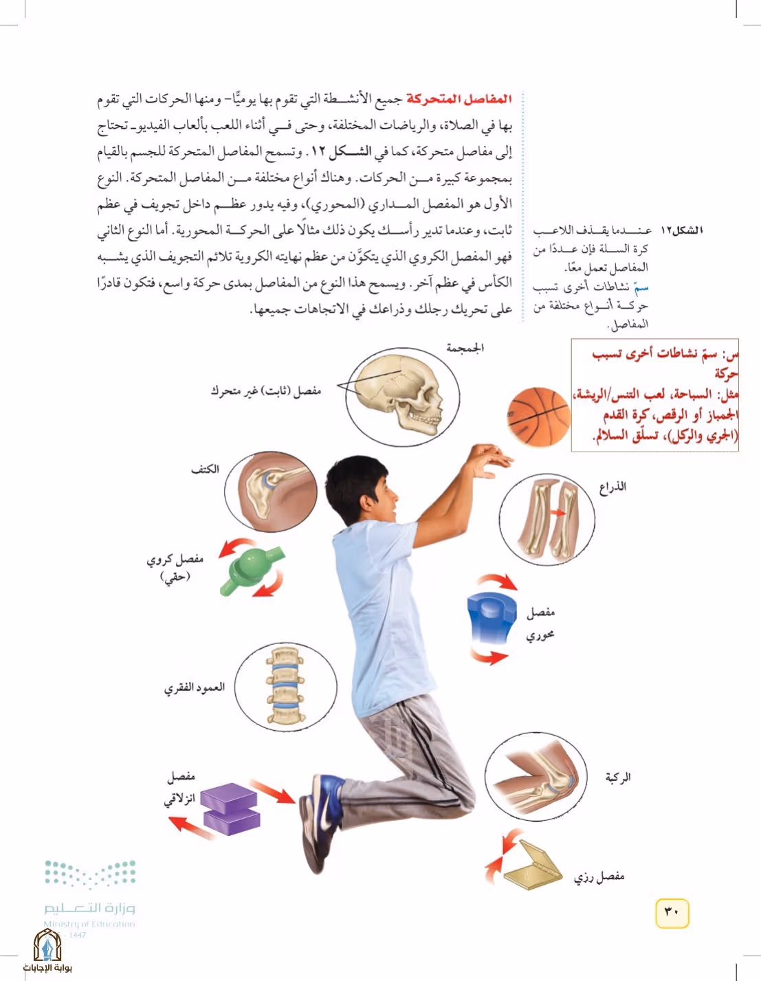 صفحة 30