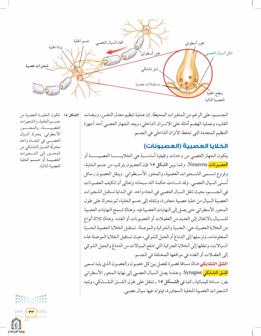 صفحة 33