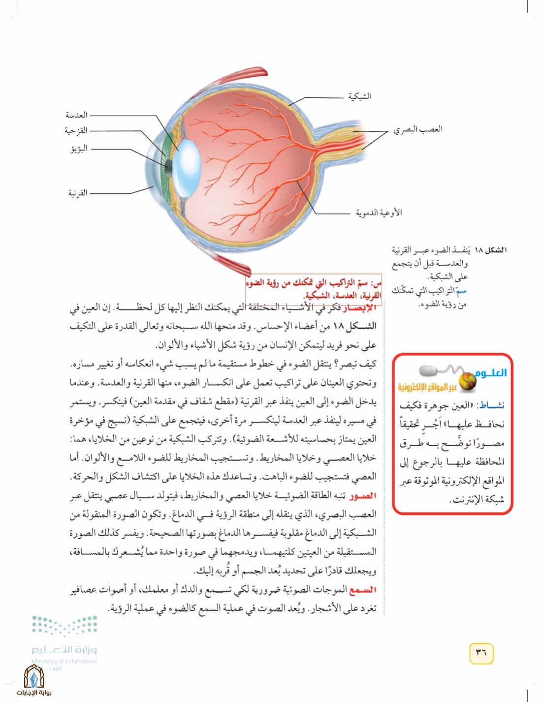 صفحة 36